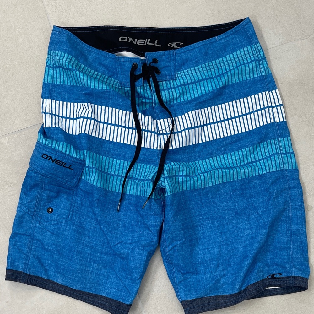 O'Neill Men's Striped Blue Board Shorts